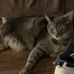 Meet your Posher, Robin